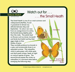 'Small heath' Nature Watch Panel