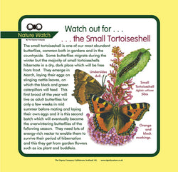 'Small tortoiseshell' Nature Watch Panel