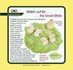 'Small white' Nature Watch Panel