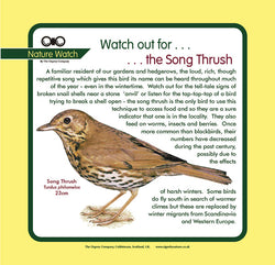 'Song thrush' Nature Watch Panel