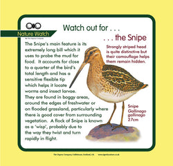 'Snipe' Nature Watch Panel