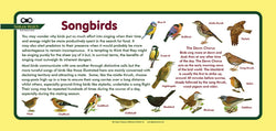 'Songbirds' Nature Watch Plus Panel