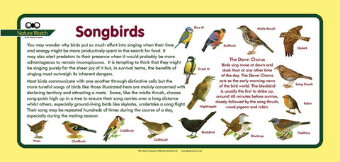 'Songbirds' Nature Watch Plus Panel