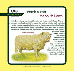 'South Down' Nature Watch Panel