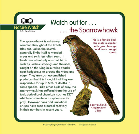 'Sparrowhawk' Nature Watch Panel