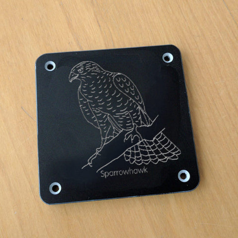 'Sparrowhawk' rubbing plaque