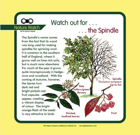 'Spindle' Nature Watch Panel