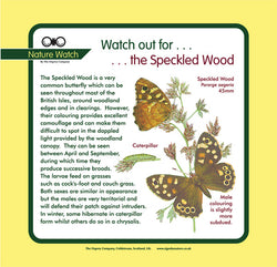'Speckled wood' Nature Watch Panel