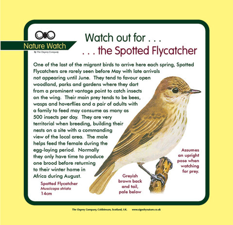 'Spotted flycatcher' Nature Watch Panel