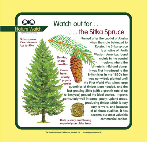 'Sitka spruce' Nature Watch Panel