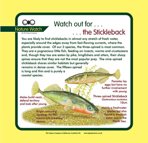 'Stickleback' Nature Watch Panel