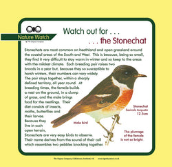 'Stonechat' Nature Watch Panel