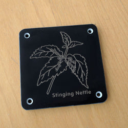'Stinging nettle' rubbing plaque