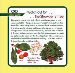 'Strawberry tree' Nature Watch Panel