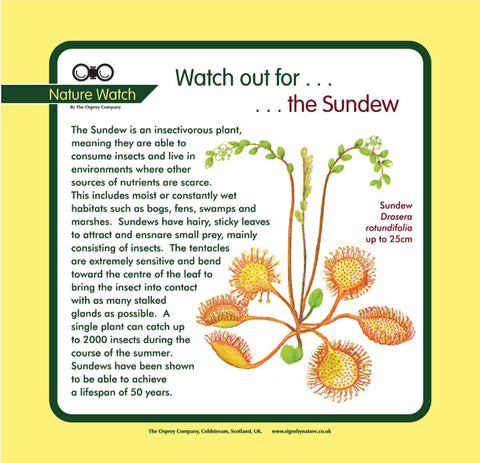 'Sundew' Nature Watch Panel