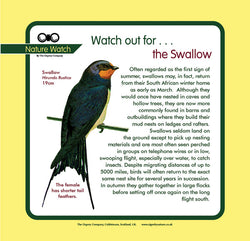 'Swallow' Nature Watch Panel