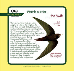 'Swift' Nature Watch Panel