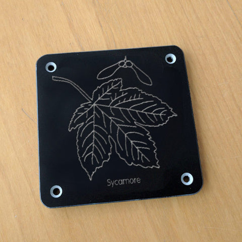 'Sycamore' rubbing plaque