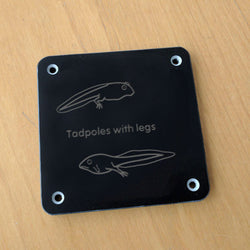 'Tadpoles with legs' rubbing plaque