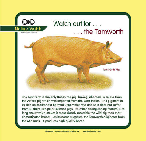 'Tamworth' Nature Watch Panel