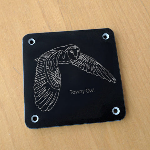 'Tawny owl' rubbing plaque