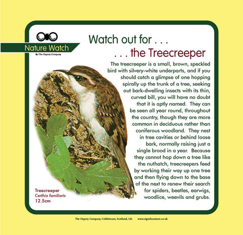 'Treecreeper' Nature Watch Panel