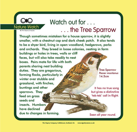 'Tree sparrow' Nature Watch Panel
