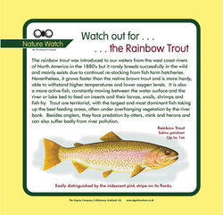 'Rainbow trout' Nature Watch Panel