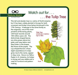 'Tulip tree' Nature Watch Panel