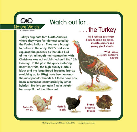 'Turkey' Nature Watch Panel