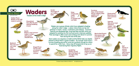 'Waders' Nature Watch Plus Panel