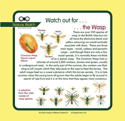 'Wasp' Nature Watch Panel