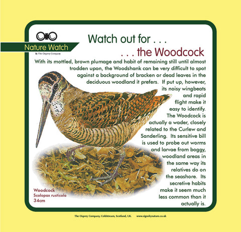 Woodcock Watch, 32911 Willow Rd., New Boston, MI 48164,US, 5 April 2024 |  AllEvents.in