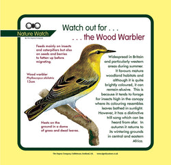 'Wood warbler' Nature Watch Panel