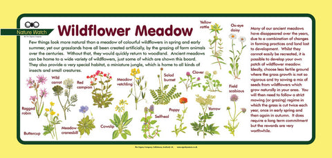 'Wildflowers' Nature Watch Plus Panel