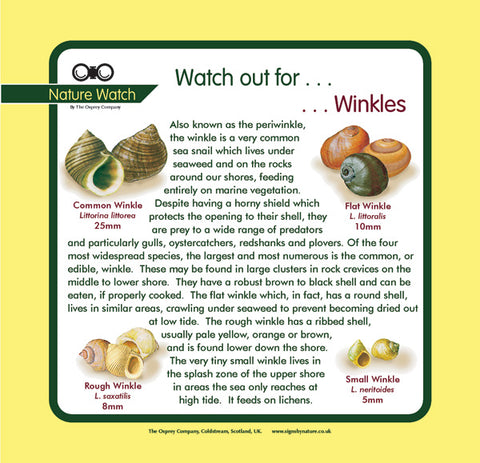 'Winkles' Nature Watch Panel