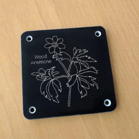 'Wood anemone' rubbing plaque