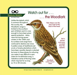 'Woodlark' Nature Watch Panel