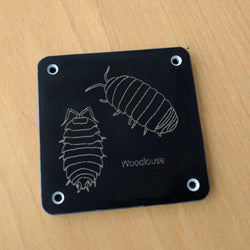 'Woodlouse' rubbing plaque