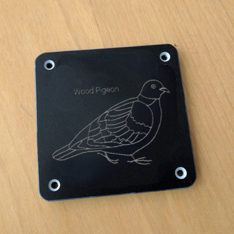 'Wood pigeon' rubbing plaque