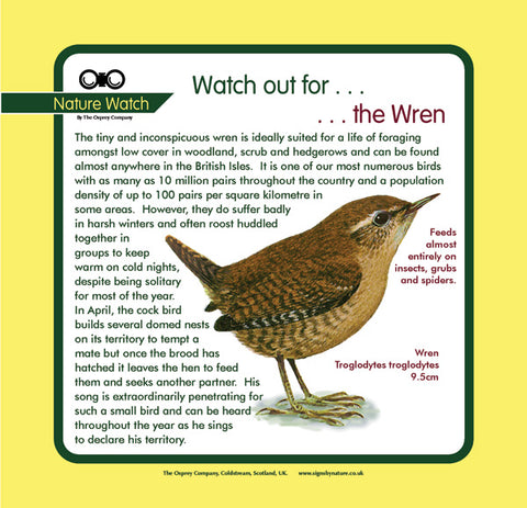 'Wren' Nature Watch Panel