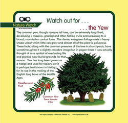 'Yew' Nature Watch Panel